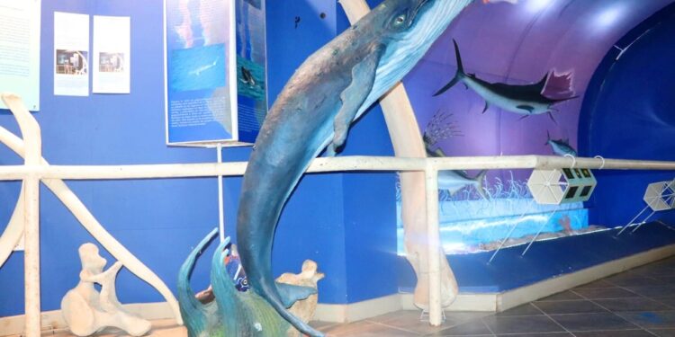 Museo Natural de Historia de Cabo San Lucas