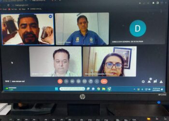 En un primer acercamiento, la Dirección General de Ecología y Medio Ambiente (DGEyMA) a través de la Dirección Municipal de Educación  implementan estrategias que ayuden a reducir principalmente la llegada de residuos plásticos a las playas del municipio de Los Cabos.