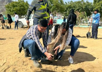 Gracias a los 10 programas de reforestación y se ha realizado la plantación de 319 árboles