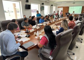Esta mañana de miércoles, durante la sesión de la Junta de Gobierno del Instituto Municipal de Asuntos Indígenas y Afromexicanos (IMAIA) encabezada por el presidente municipal Oscar Leggs Castro, se dio a conocer el reporte financiero del Instituto, además se aprobó el recurso del mes con un presupuesto de $419 mil 293 pesos