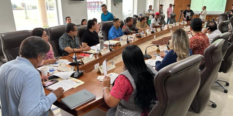 Esta mañana de miércoles, durante la sesión de la Junta de Gobierno del Instituto Municipal de Asuntos Indígenas y Afromexicanos (IMAIA) encabezada por el presidente municipal Oscar Leggs Castro, se dio a conocer el reporte financiero del Instituto, además se aprobó el recurso del mes con un presupuesto de $419 mil 293 pesos