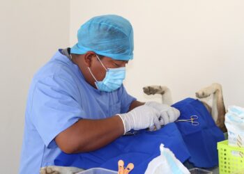 El director municipal de Salud en Los Cabos, Dr. Juan Carlos Costich Pérez, informó que poco más de 40 mascotas fueron esterilizados este pasado viernes durante la campaña que se llevó a cabo en la inaugurada Unidad Médica de Salud