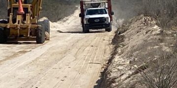 Limpieza de las delegaciones con maquinaria pesada y otras herramientas