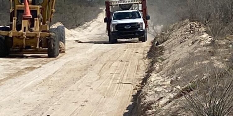 Limpieza de las delegaciones con maquinaria pesada y otras herramientas