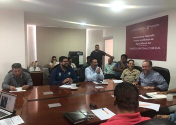 “Brigadas de Saneamiento Forestal 2023”