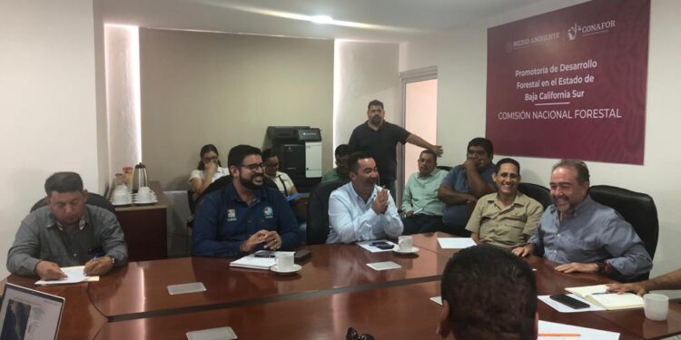 “Brigadas de Saneamiento Forestal 2023”