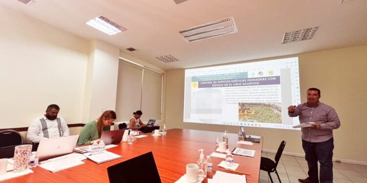 Se llevó a cabo la presentación de dos proyectos medulares para el Gobierno municipal, enfocados en la conservación ambiental de la Reserva Ecológica Estatal Estero San José del Cabo.