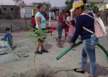 Llevaron a cabo actividades de reforestación en las vialidades, esto con la finalidad de que los automovilistas y peatones tengan una mejor visibilidad y mantener una buena imagen en este destino turístico.