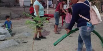 Llevaron a cabo actividades de reforestación en las vialidades, esto con la finalidad de que los automovilistas y peatones tengan una mejor visibilidad y mantener una buena imagen en este destino turístico.