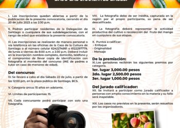 El XIV Ayuntamiento de Los Cabos  invita a participar en el concurso de fotografía que se efectuará durante el desarrollo de La Feria del Mango 2023.
