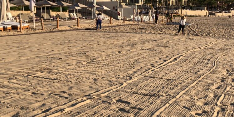 El personal de la Coordinación Municipal de la Zona Federal Marítimo Terrestre de Los Cabos (Zofemat), ejerce labores permanentes de limpieza en estos espacios.