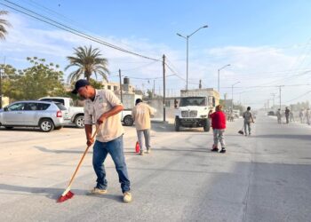 Este sábado darán inicio las jornadas de limpieza en los predios de donación que corresponden al Ayuntamiento de Los Cabos