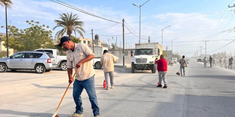 Este sábado darán inicio las jornadas de limpieza en los predios de donación que corresponden al Ayuntamiento de Los Cabos