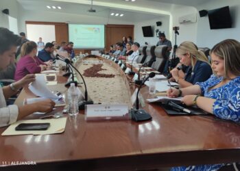 El hermanamiento de Los Cabos con diversas ciudades a nivel nacional e internacional se llevará a cabo una vez que queden listas las mesas de trabajo entre el Comité de Prohermanamiento y la sociedad organizada de este municipio