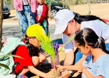Por medio de la Dirección Municipal de Educación, Divulgación y Promoción Ambiental del XIV Ayuntamiento de Los Cabos, mantiene un programa permanente de plantación de árboles en el municipio.