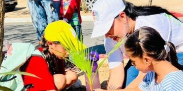Por medio de la Dirección Municipal de Educación, Divulgación y Promoción Ambiental del XIV Ayuntamiento de Los Cabos, mantiene un programa permanente de plantación de árboles en el municipio.