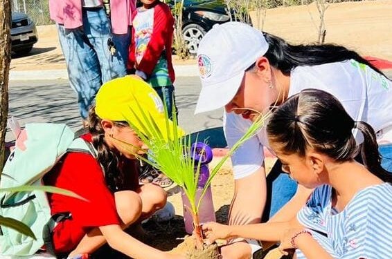 Por medio de la Dirección Municipal de Educación, Divulgación y Promoción Ambiental del XIV Ayuntamiento de Los Cabos, mantiene un programa permanente de plantación de árboles en el municipio.