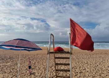 Ante las condiciones de oleaje que se han registrado durante los útimos días y que prevalecen en algunas playas del municipio, Jorge Alonso Meza Núñez, pide a la población que al acudir a estos espacios se verifique el color de las banderas que se encuentran colocadas y sean acatadas las recomendaciones de salvavidas.