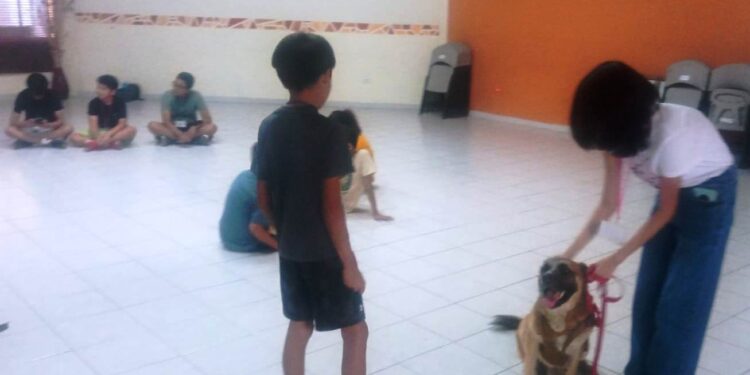 Brinda personal del CEMAC plática en el Centro de Integración Juvenil