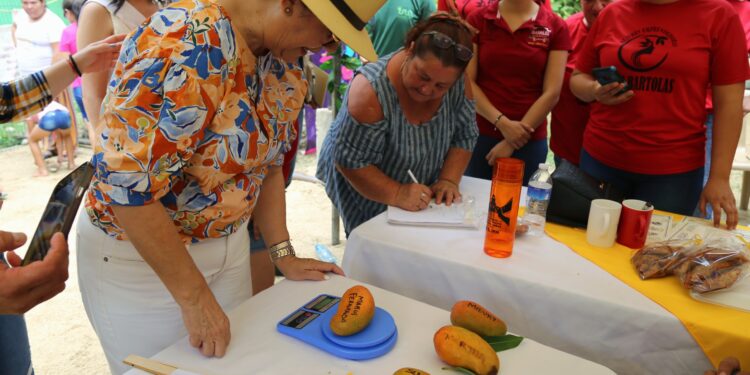 Celebran primera edición de la Feria del Mango en San Bartolo