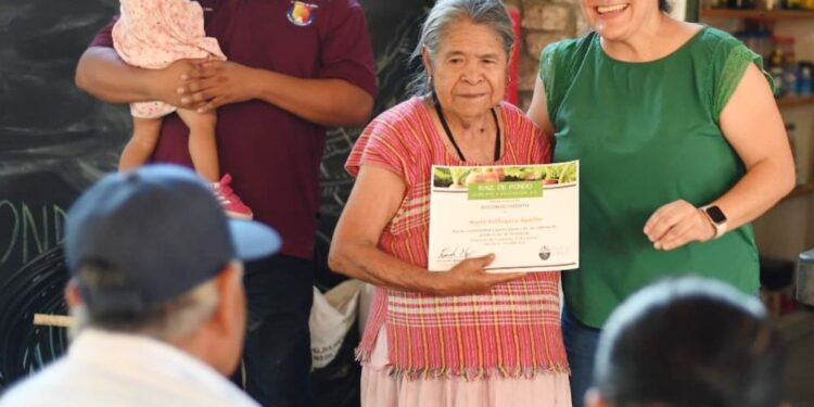 Clausuran Talleres de Huertos de Traspatio en El Esterito