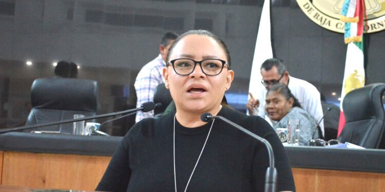 Llama Diputada Paz Ochoa a CENACE y CFE a emprender acciones que mejoren el servicio y suministro de energía eléctrica en Loreto