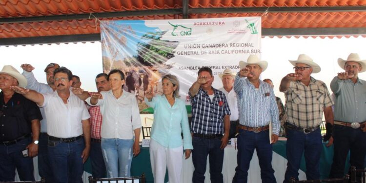 CON ORGANIZACIÓN Y ORDENAMIENTO VAMOS POR UNA MEJOR GANADERÍA PARA BCS: JABB