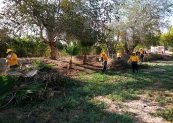 RETIRAN 85 TONELADAS DE MATERIAL COMBUSTIBLE EN OASIS DE SANTIAGO