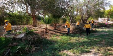 RETIRAN 85 TONELADAS DE MATERIAL COMBUSTIBLE EN OASIS DE SANTIAGO