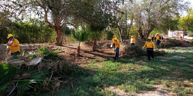 RETIRAN 85 TONELADAS DE MATERIAL COMBUSTIBLE EN OASIS DE SANTIAGO