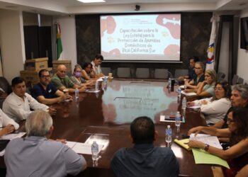 SE CAPACITA COMITÉ PRO ANIMAL ESTATAL EN LA LEY PARA ANIMALES DOMÉSTICOS DE BCS&nbsp;&nbsp;
