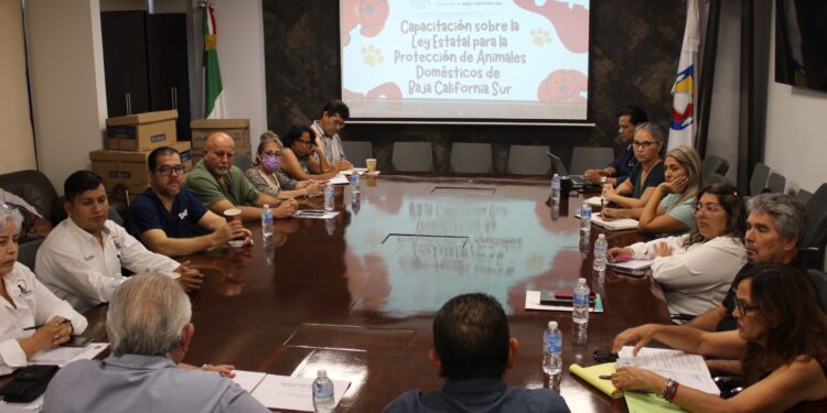 SE CAPACITA COMITÉ PRO ANIMAL ESTATAL EN LA LEY PARA ANIMALES DOMÉSTICOS DE BCS&nbsp;&nbsp;