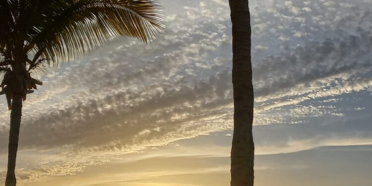 EN BCS EL 49.2% DE LA POBLACIÓN SON MUJERES&nbsp;&nbsp;