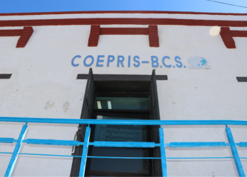 AUTORIZA COEPRIS SE RETOME LA EXTRACCIÓN DE MOLUSCOS BIVALVOS EN LOS ESTEROS COYOTE Y LA BOCANA