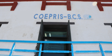 AUTORIZA COEPRIS SE RETOME LA EXTRACCIÓN DE MOLUSCOS BIVALVOS EN LOS ESTEROS COYOTE Y LA BOCANA