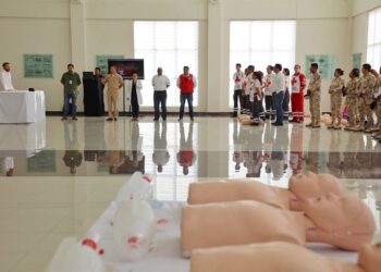 Promueve Mesa de Seguridad capacitación a elementos de las Fuerzas Armadas y Policiales de BCS