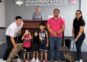 Formaliza CEMAC adopción de 13 perritos durante junio
