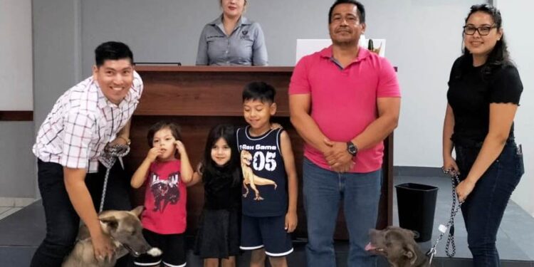 Formaliza CEMAC adopción de 13 perritos durante junio