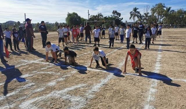 SEP E INSUDE ARRANCARÁN PLAN PILOTO PARA DETECTAR TALENTOS