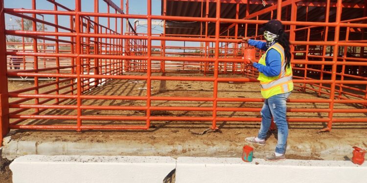 Lleva a cabo Servicios Públicos mantenimiento en rastro municipal