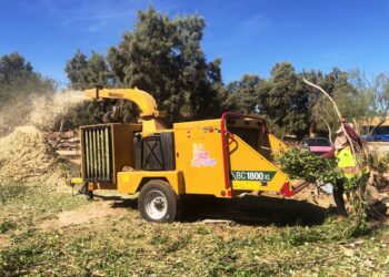 Más de 15 toneladas de ramas y troncos se han recibido en el programa “Manos a la Tierra”