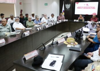 Presentan proyectos para impulsar el sector pesquero y acuícola en La Paz