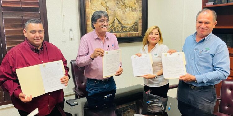 El presidente municipal del XIV Ayuntamiento de Los Cabos Oscar Leggs Castro instruyó a las áreas correspondientes para que finalmente sea entregado en comodato un edificio que sirva como plantel del Colegio Nacional de Educación Profesional Técnica (CONALEP) en Cabo San Lucas beneficiando a 300 estudiantes.
