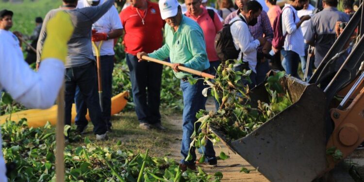 La conservación y potencialización del Estero de San José del Cabo, tienen proyectado la adquisición de una máquina industrial para efectuar trabajos de limpieza y desazolve en este representativo espacio de la cabecera municipal.