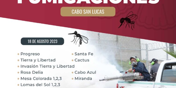 Han iniciado con las Jornadas de Nebulizaciones Terrestres Contra el Dengue.
