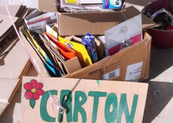 Realizan  programa “Reciclando con Servicios” en Cabo San Lucas.