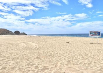 Para resguardar la integridad física de quienes visitan las playas de Los Cabos, el Gobierno con sentido humano a través de la Coordinación de la Zona Federal Marítimo Terrestre (ZOFEMAT), hace un atento llamado a la población para que extreme precauciones al acudir a los balnearios naturales