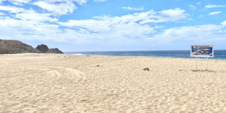 Para resguardar la integridad física de quienes visitan las playas de Los Cabos, el Gobierno con sentido humano a través de la Coordinación de la Zona Federal Marítimo Terrestre (ZOFEMAT), hace un atento llamado a la población para que extreme precauciones al acudir a los balnearios naturales