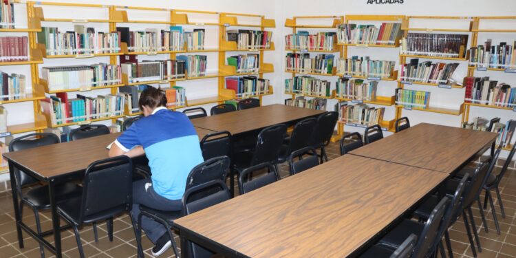 La delegación de Cabo San Lucas a través del equipo de la Coordinación de Bibliotecas ofrece a la niñez y juventud espacios para nutrir habilidades de lectura