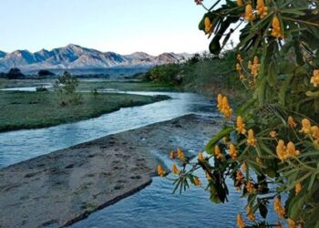 Las lluvias registradas en este municipio, -que han tenido presencia sobre todo en la zona rural-, han sido benéficas para las rancherías